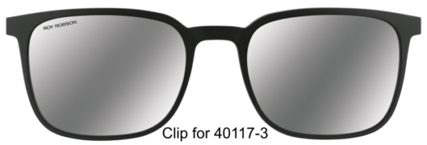 Herrenbrille 40117-3