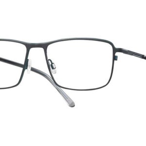 Herrenbrille Look & Feel 7096-16