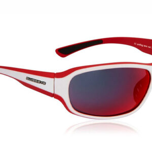 Sportbrille Swiss Eye Freeride 14329